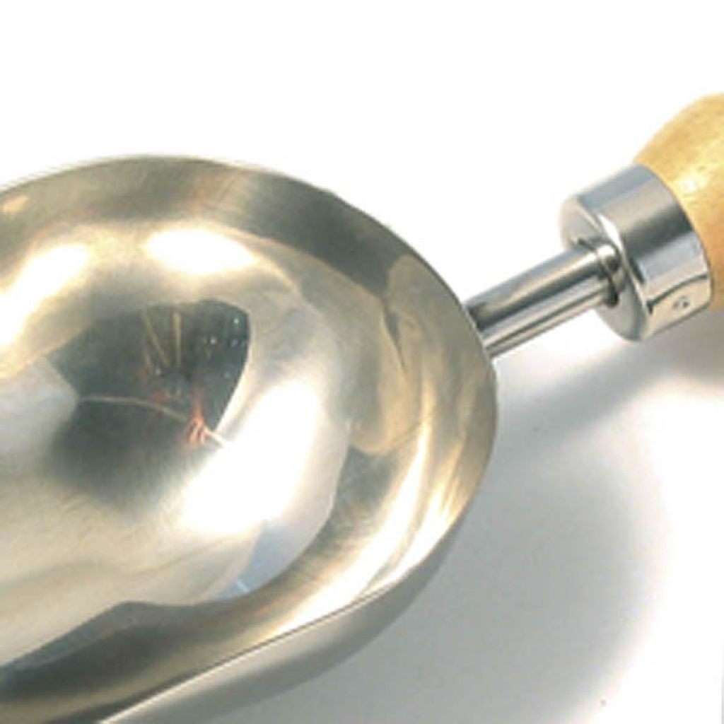 Tijm Compactus BIO - Thymus vulgaris