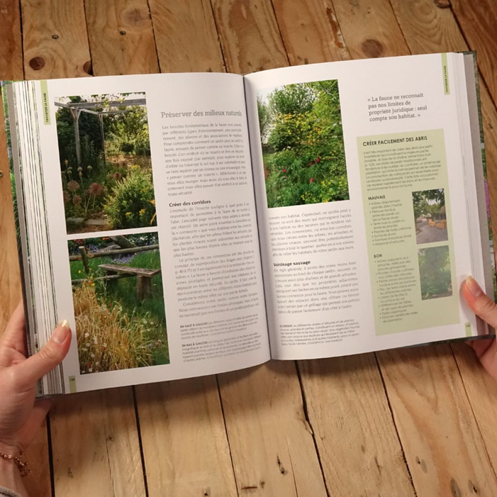 Petits jardins actuels - Nouvelle édition