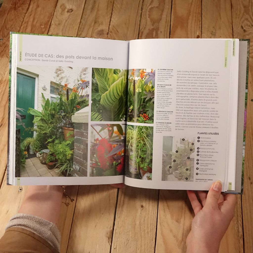 Petits jardins actuels - Nouvelle édition