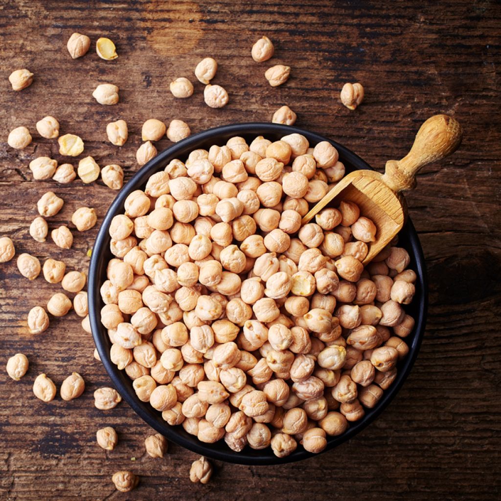 Kikkererwt Twist (zaad)