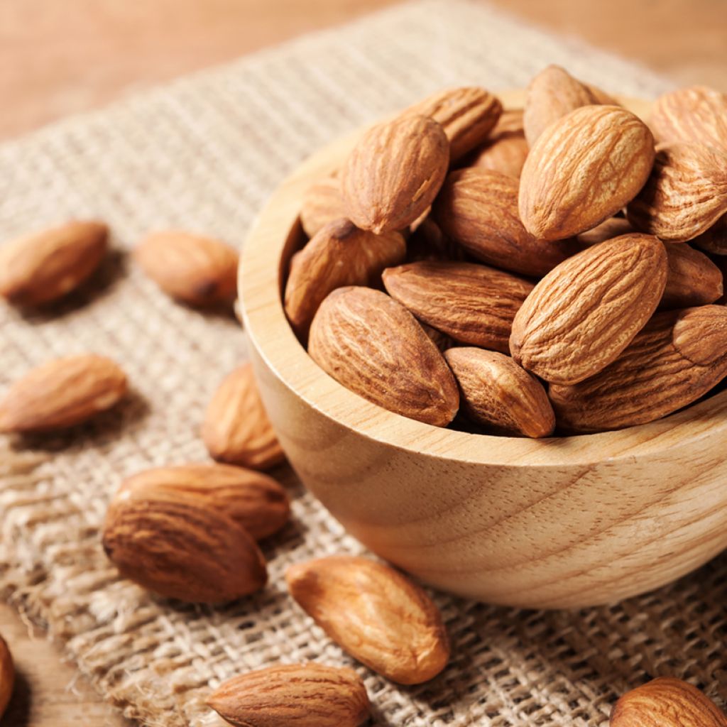 Amandelboom Desmayo Largueta