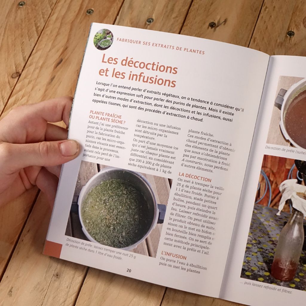 Purins d'orties et extraits végétaux. Les conseils d'un pro pour un jardin en forme