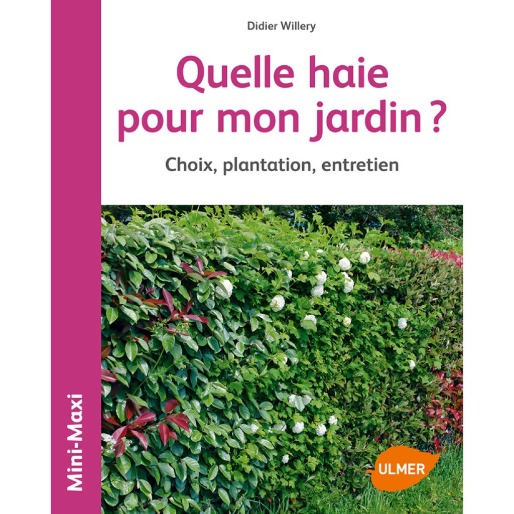 Quelle haie pour mon jardin ? Choix, plantation, entretien