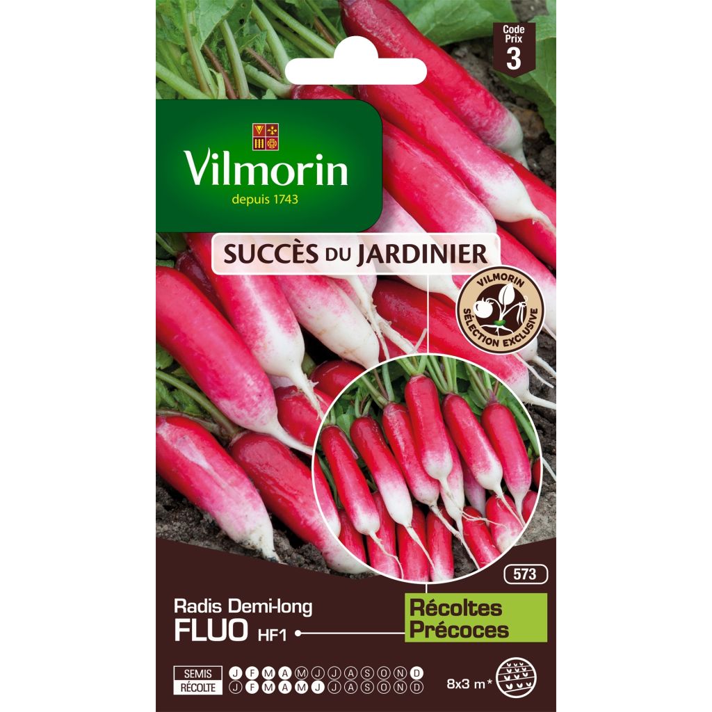 Radis Fluo F1 (Création Vilmorin) - Vilmorin
