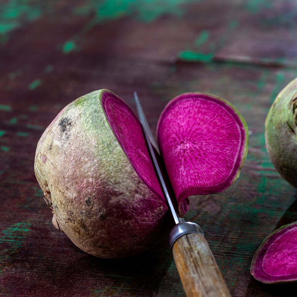 Watermeloenradijs Red Meat