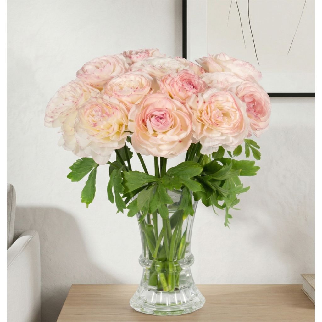 Ranunculus asiaticus Romance Orleans - Perzische ranonkel