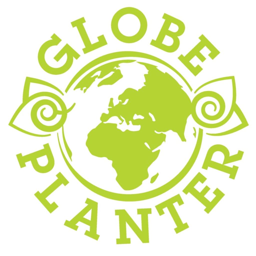 Sempervivum Chick Charms Cotton Candy - Huislook