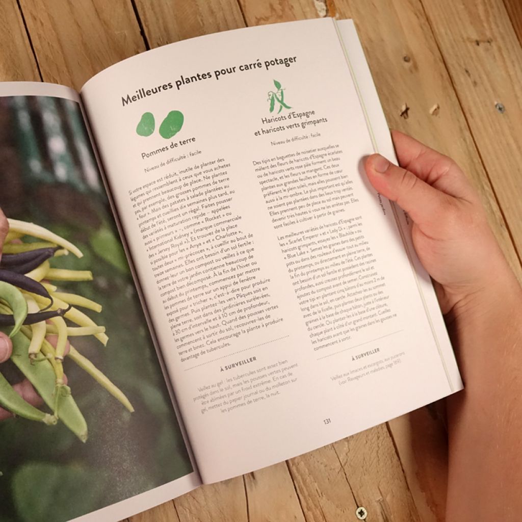 Tout faire pousser en pots - des légumes, des fleurs, des herbes sans jardin