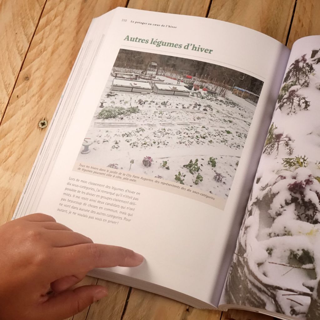 Un potager au coeur de l'hiver