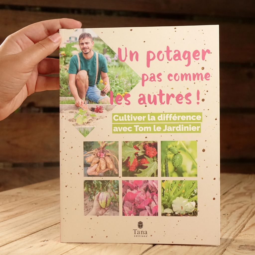 Un potager pas comme les autres