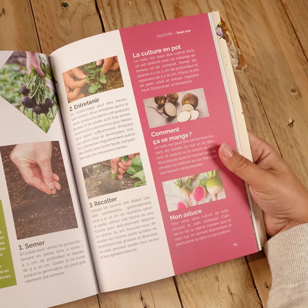 Un potager pas comme les autres