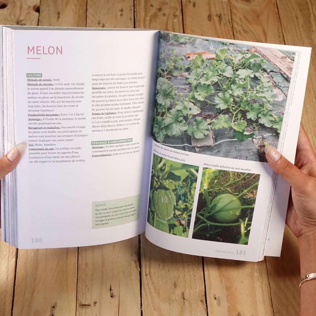 Un potager productif et naturel