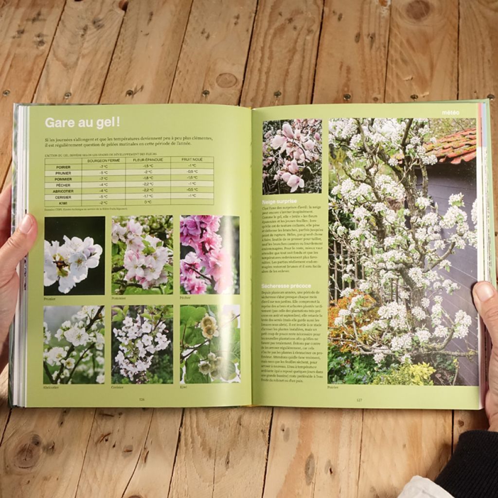 Une année au jardin avec un dingue de plantes - Idées et solutions inspirées de la nature