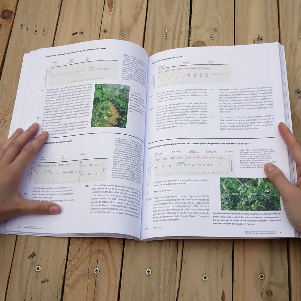 Bienvenue en syntropie