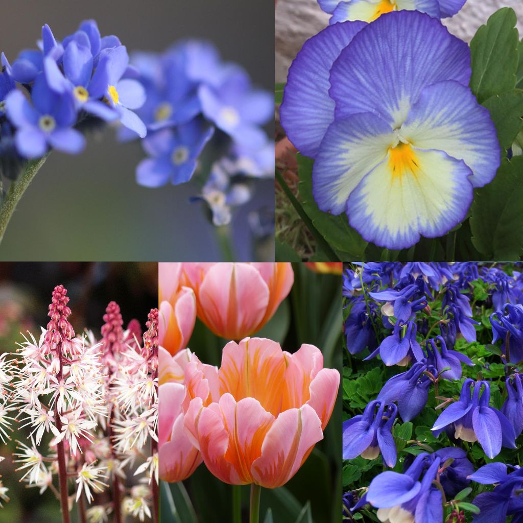 Collectie Voorjaar pastel