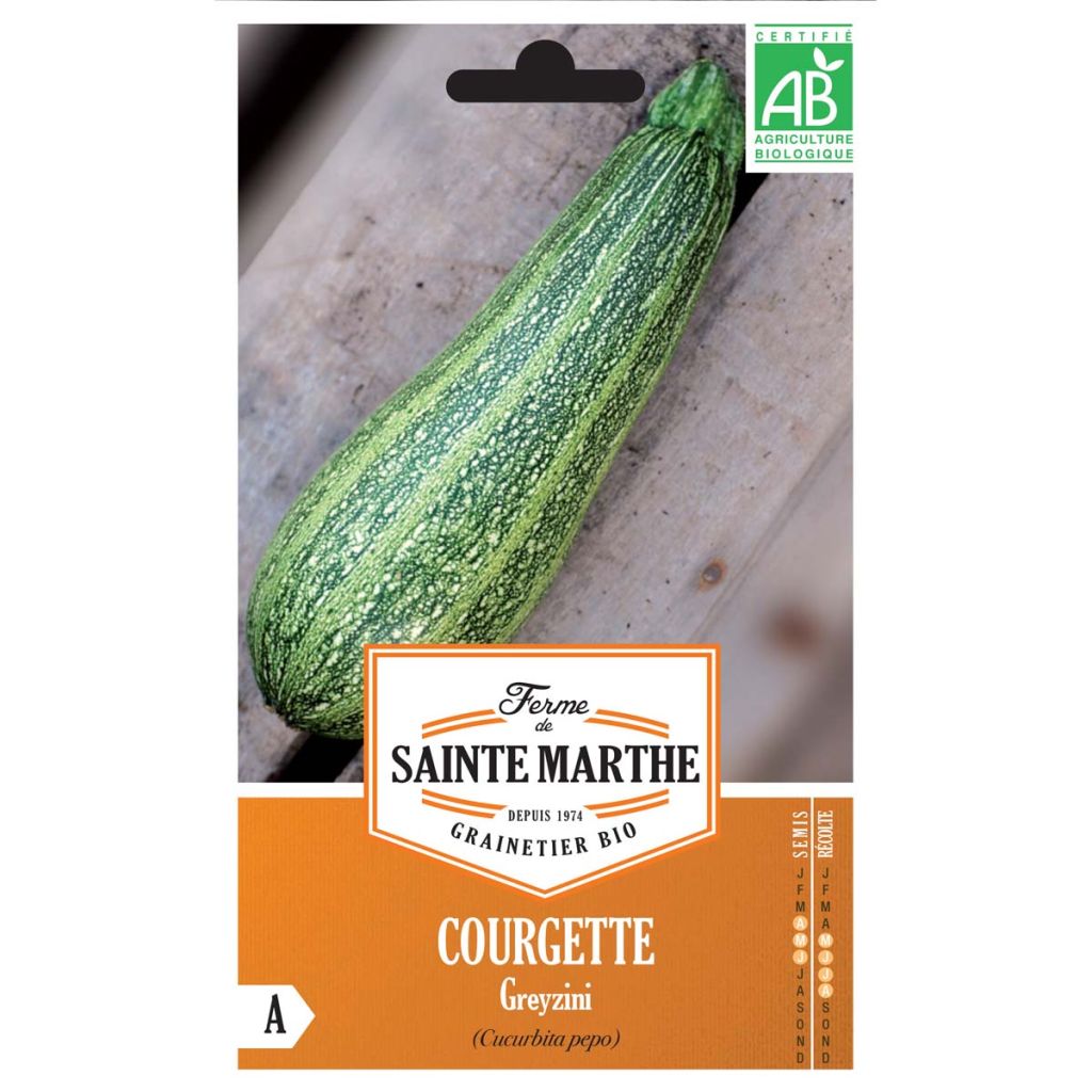 Courgette Greyzini BIO - Ferme de Sainte Marthe