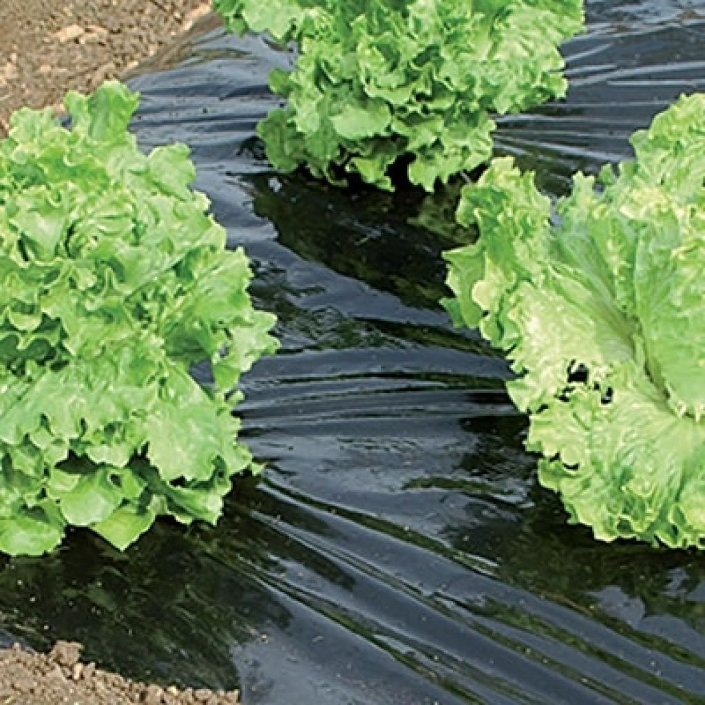 Zwart-zilver mulchfolie 30 micron 1,40 x 10 m