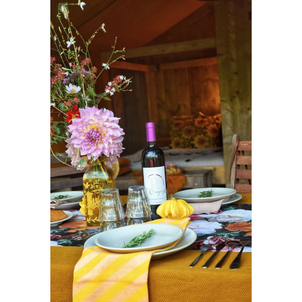 Dahlia Kid's Climax - grootbloemige dahlia