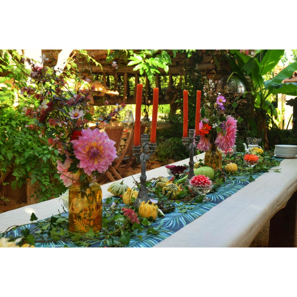 Dahlia Kid's Climax - grootbloemige dahlia