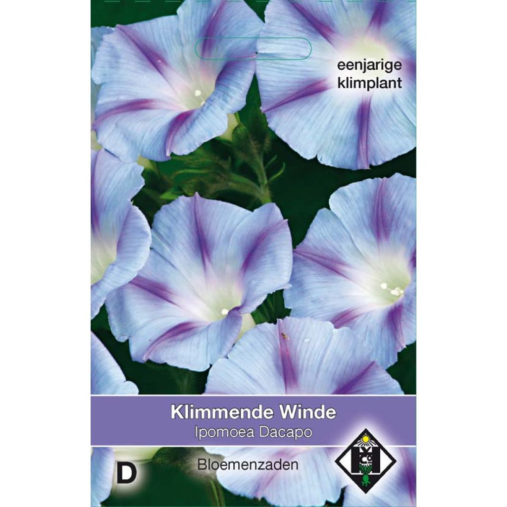 Ipomoea purpurea Dacapo Light Blue (zaad) - Klimmende winde
