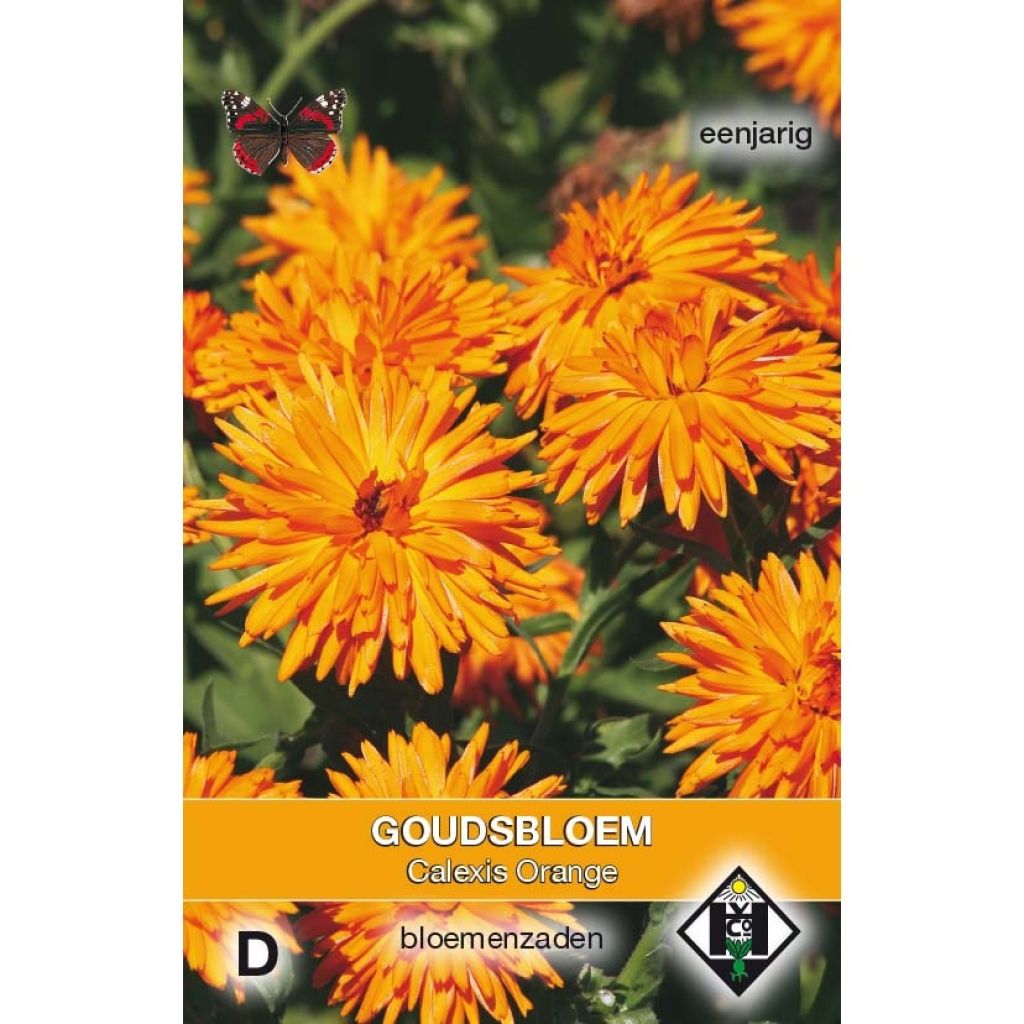 Calendula officinalis Calexis Orange (zaad) - Goudsbloem