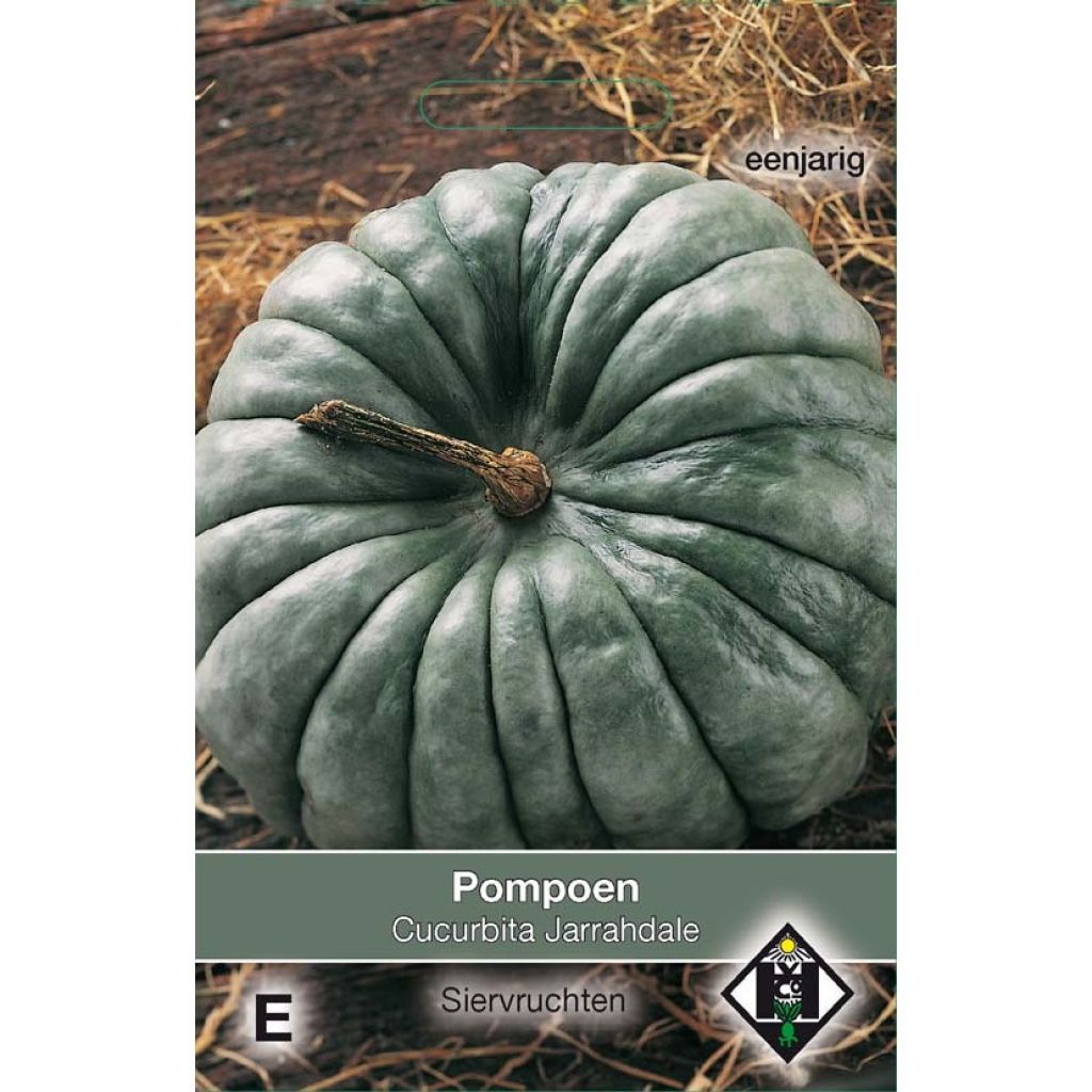 Pompoen Jarrahdale (zaad) - Cucurbita maxima