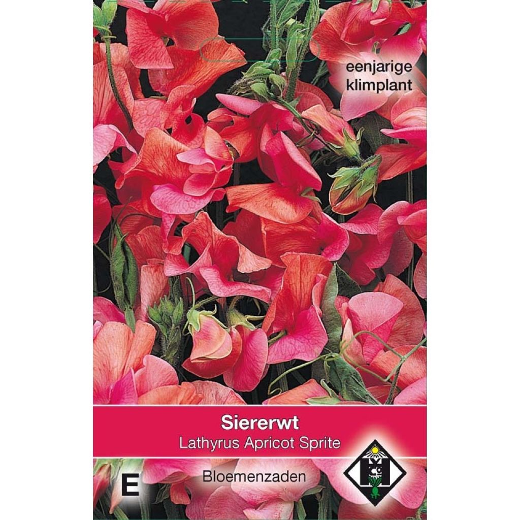Lathyrus odoratus Apricot Sprite (zaad) - Siererwt