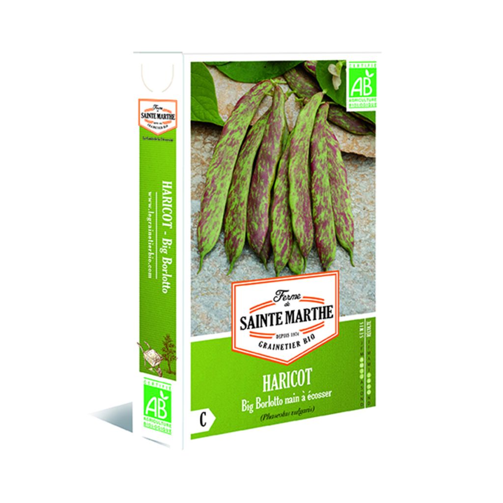 Haricot Big Borlotto nain à écosser Bio - Ferme de Sainte Marthe 