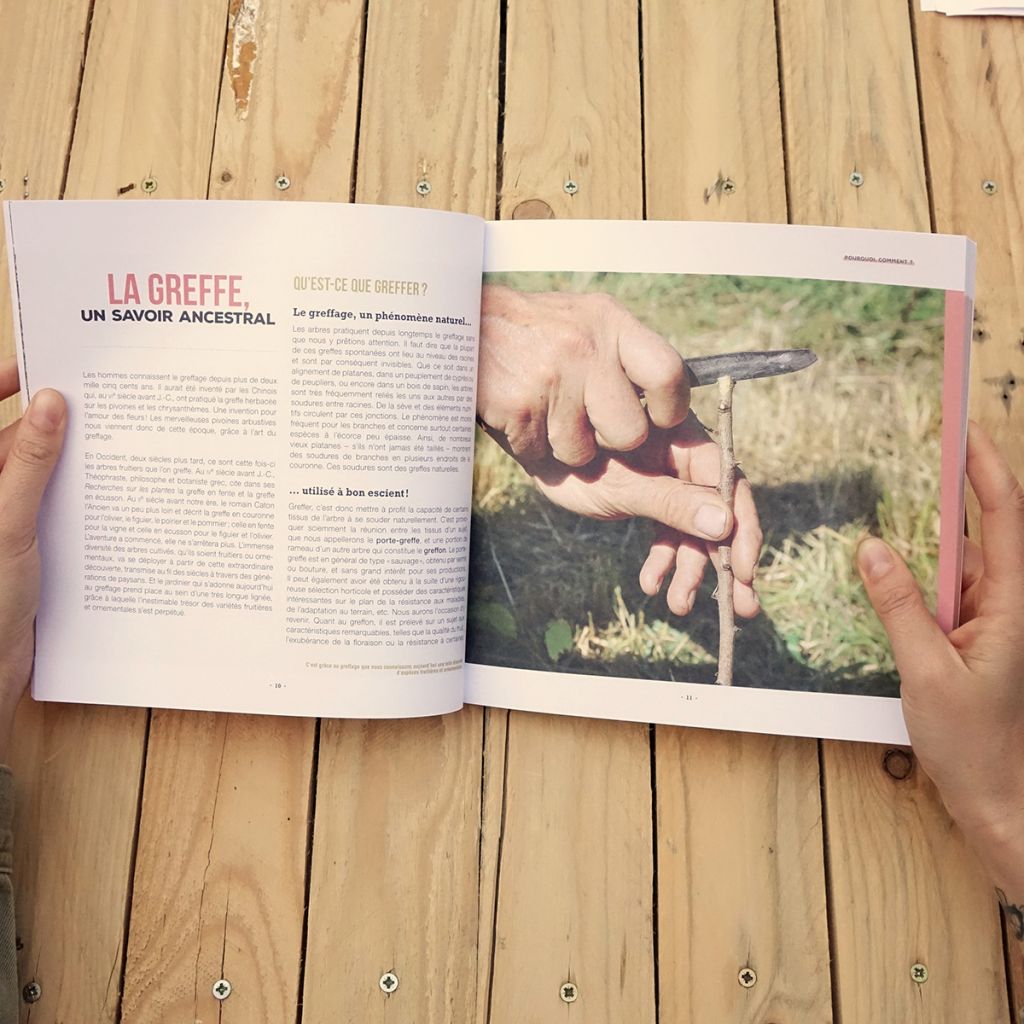 J'apprends à greffer mes fruitiers