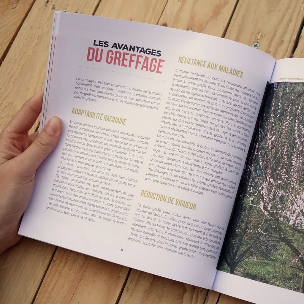 J'apprends à greffer mes fruitiers