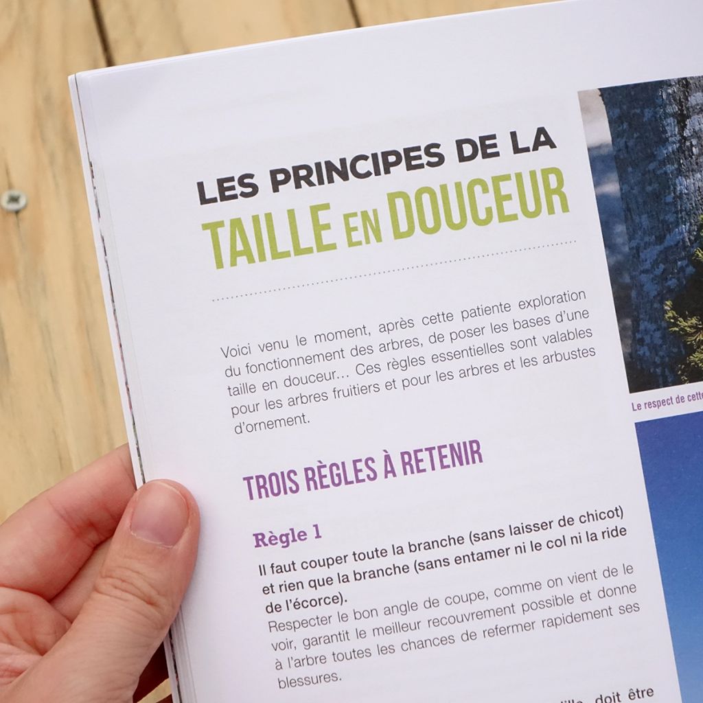 J'apprends à tailler mes arbres