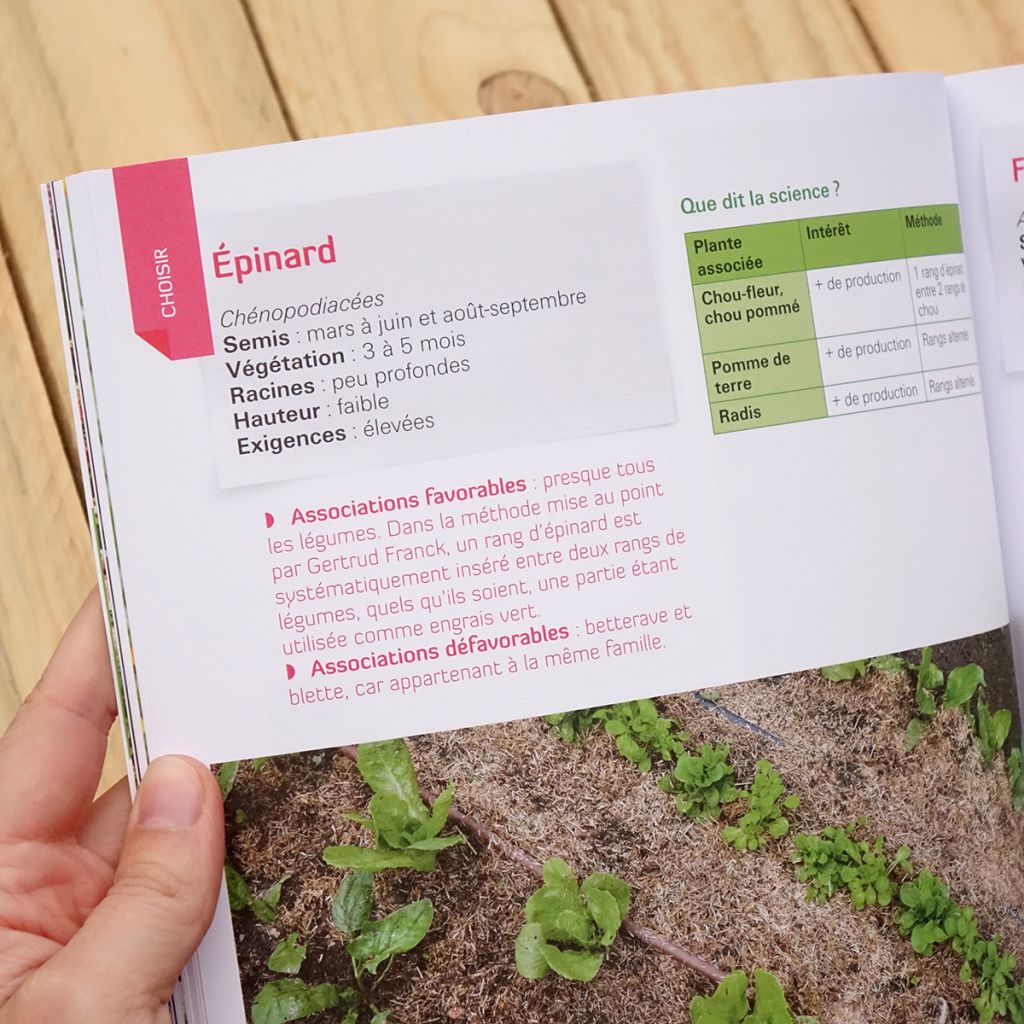 J'associe mes cultures ... et ça marche !