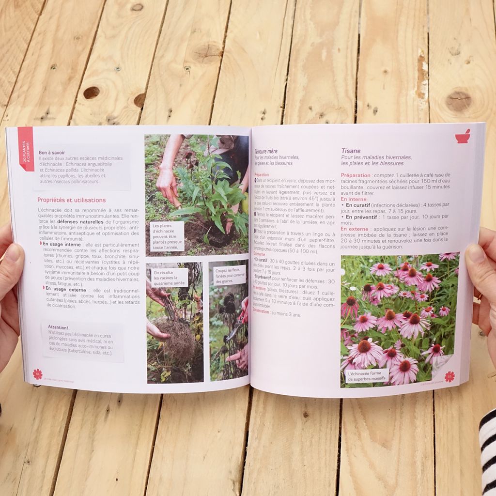 Je crée mon carré médicinal