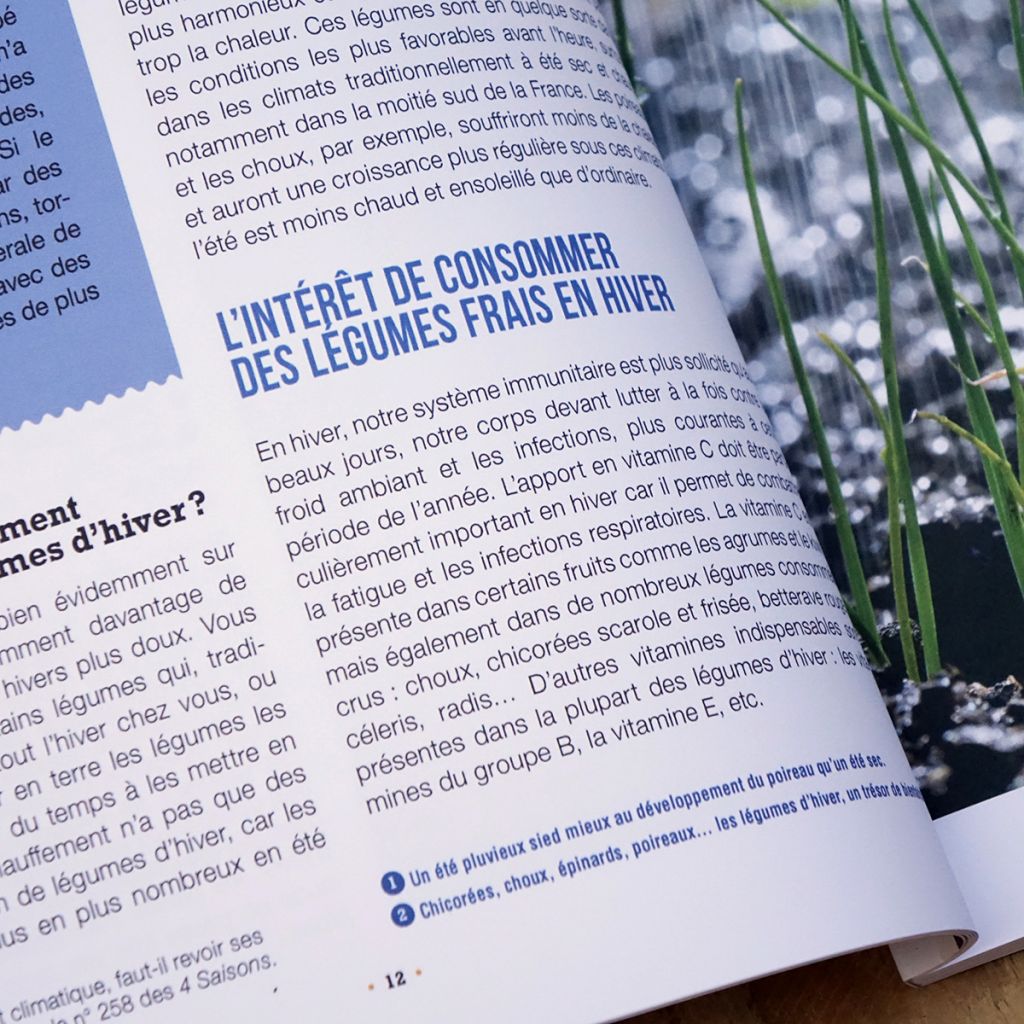 Je récolte mes légumes tout l’hiver