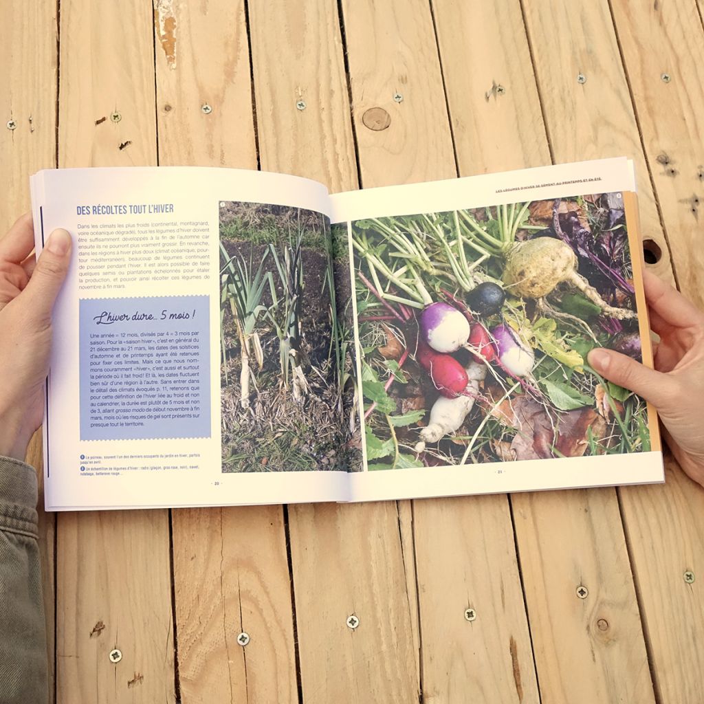 Je récolte mes légumes tout l’hiver