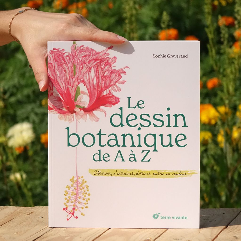 Le dessin botanique de A à Z