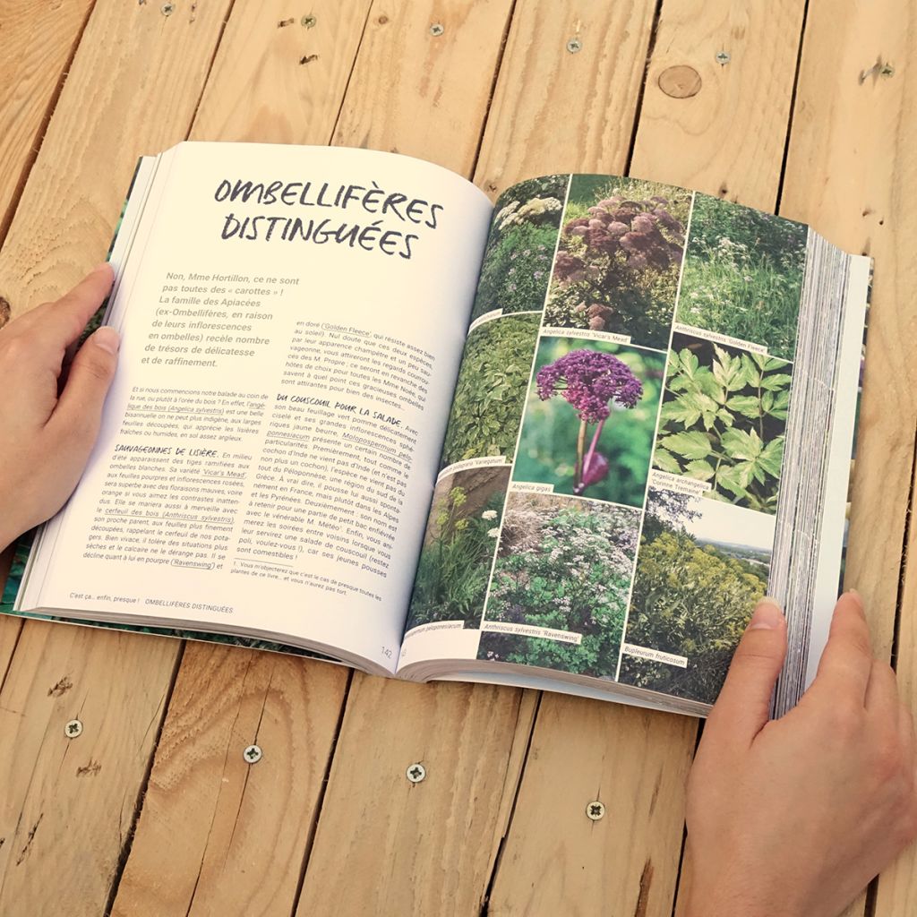 Les 400 plantes que vous ne verrez pas dans le jardin de votre voisin