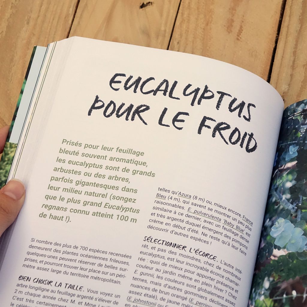 Les 400 plantes que vous ne verrez pas dans le jardin de votre voisin