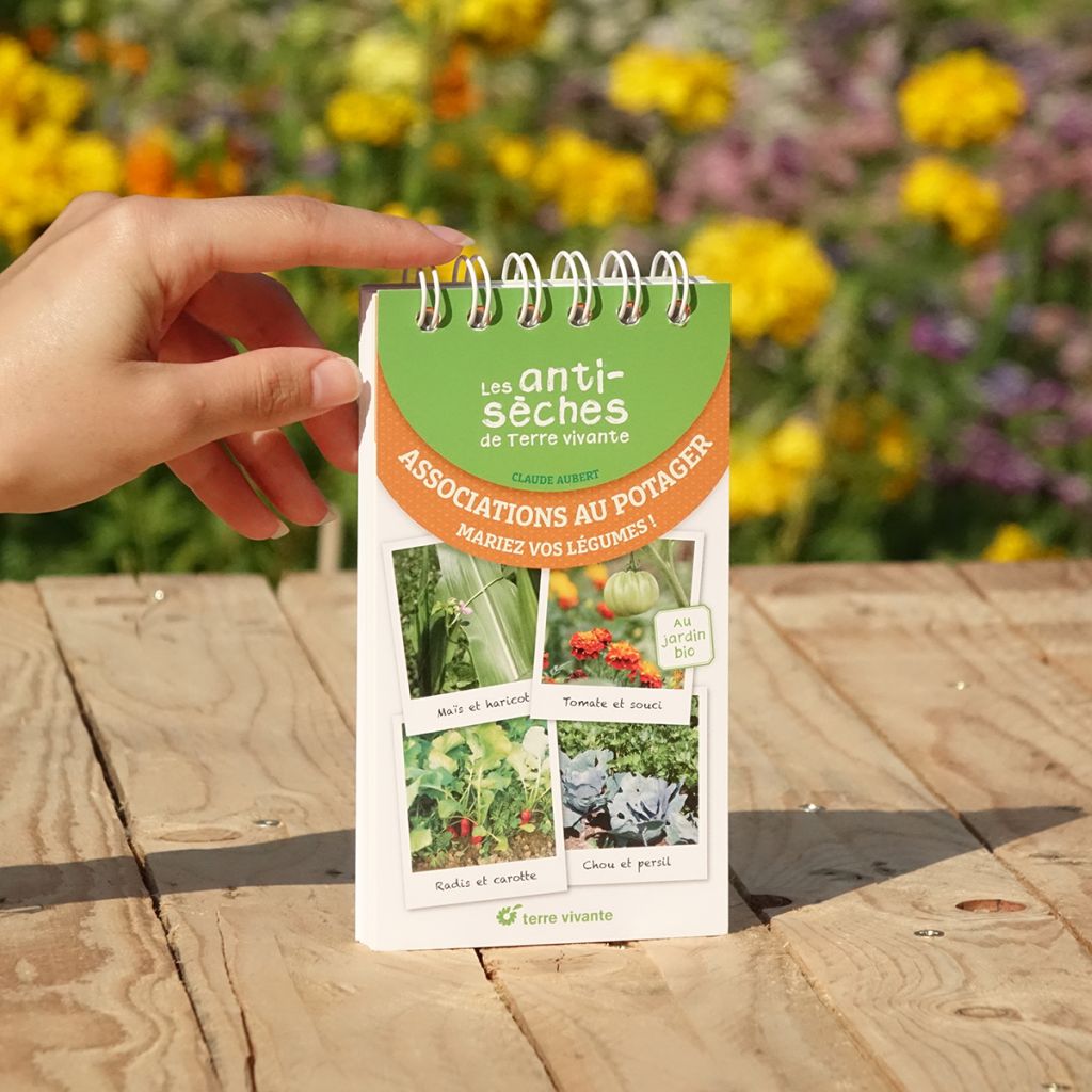 Les antisèches de Terre vivante : Associations au potager