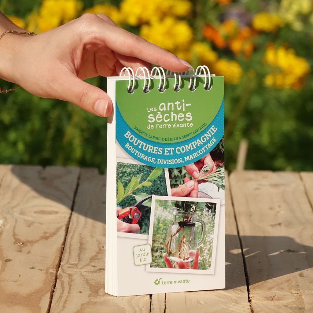 Les antisèches de Terre vivante : Boutures et compagnie