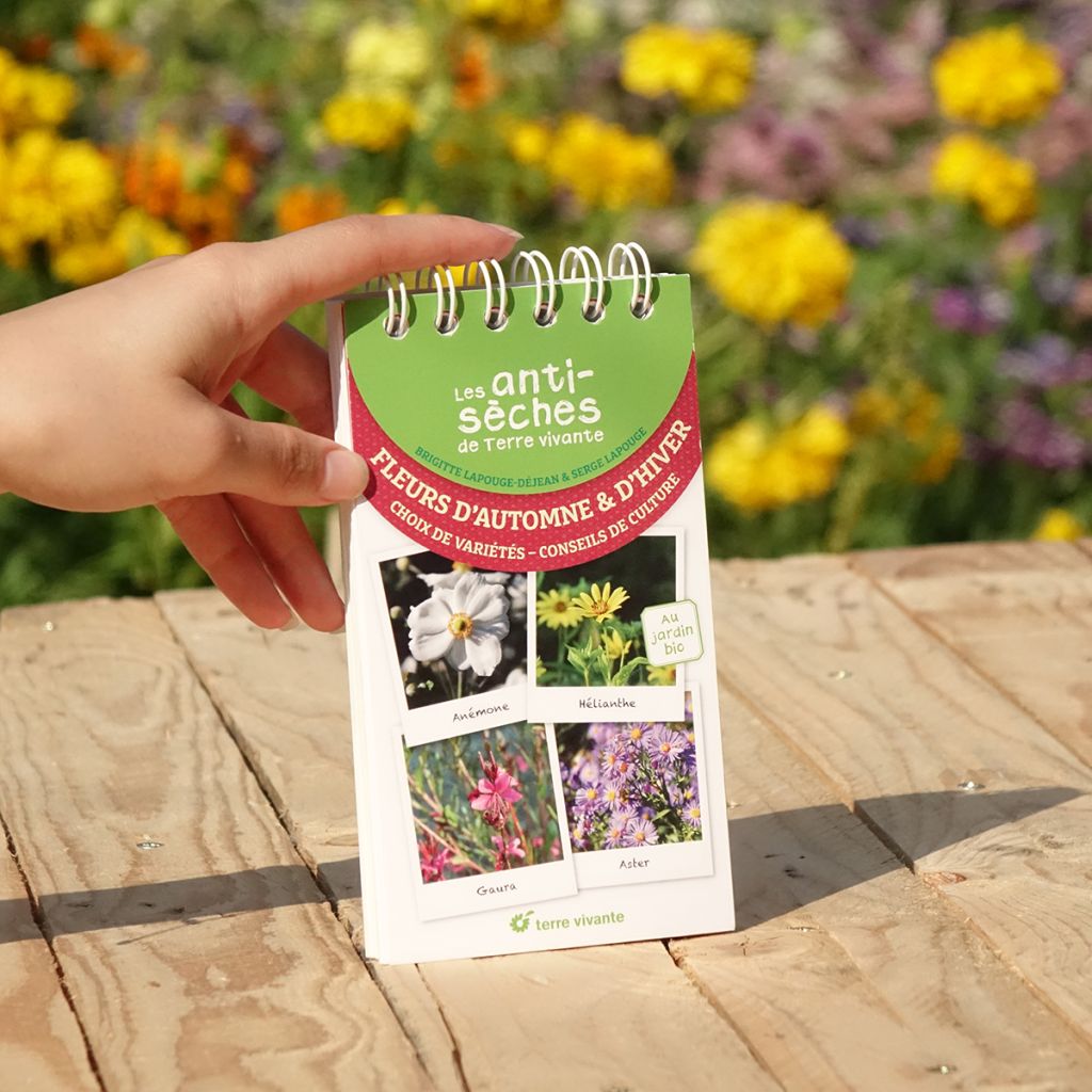 Les antisèches de Terre vivante : Fleurs d'automne et d'hiver