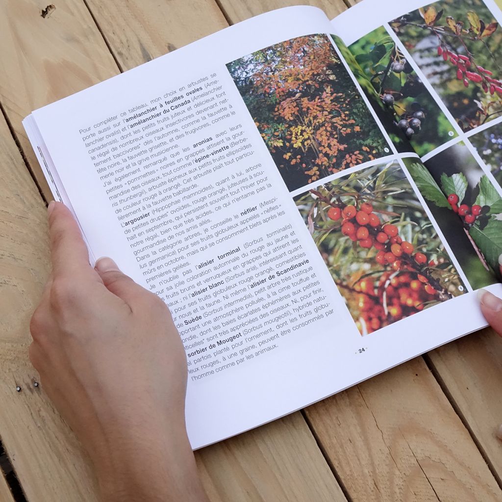 Ma haie, refuge de biodiversité