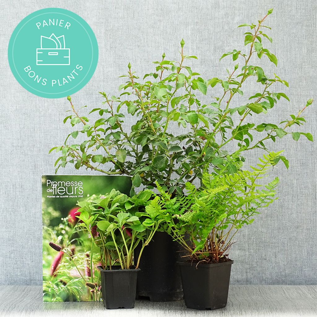 ‘Zero waste’ manden