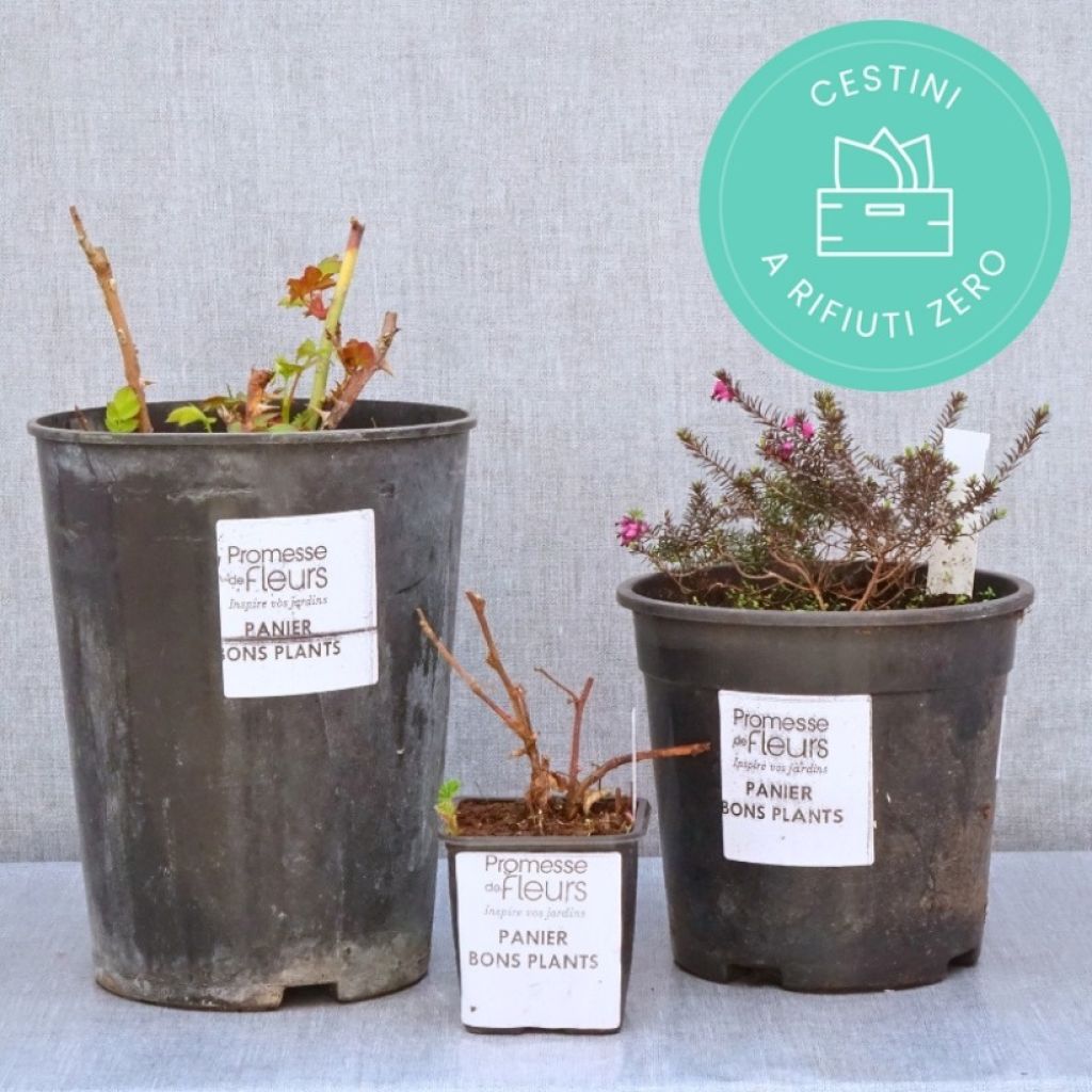 ‘Zero waste’ manden