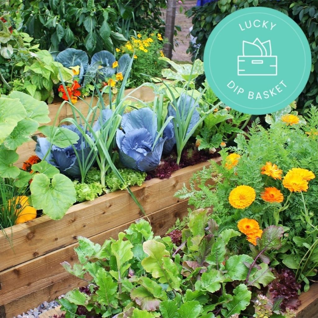 Panier bons plants graines