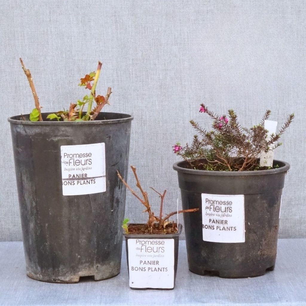 ‘Zero waste’ manden