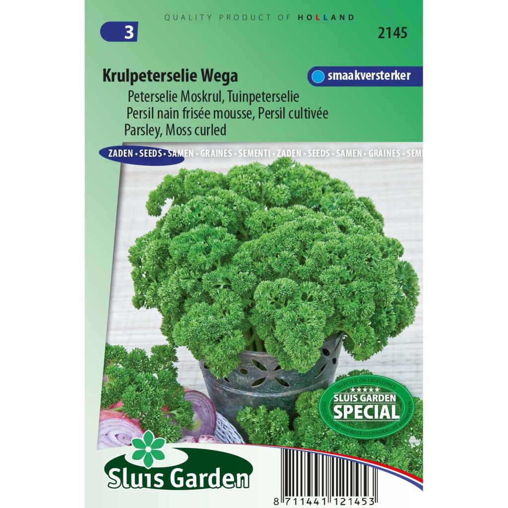 Krulpeterselie Wega