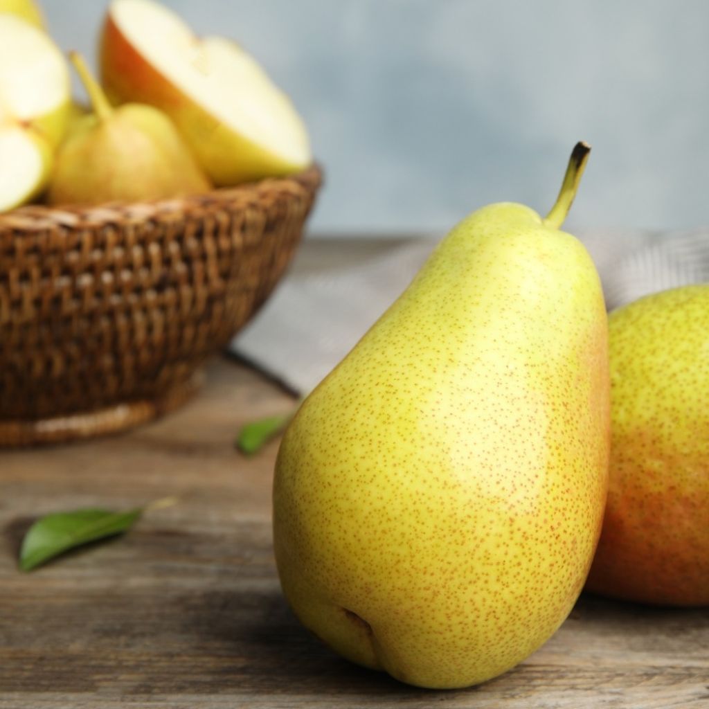 Perenboom Williams' Bon Chrétien