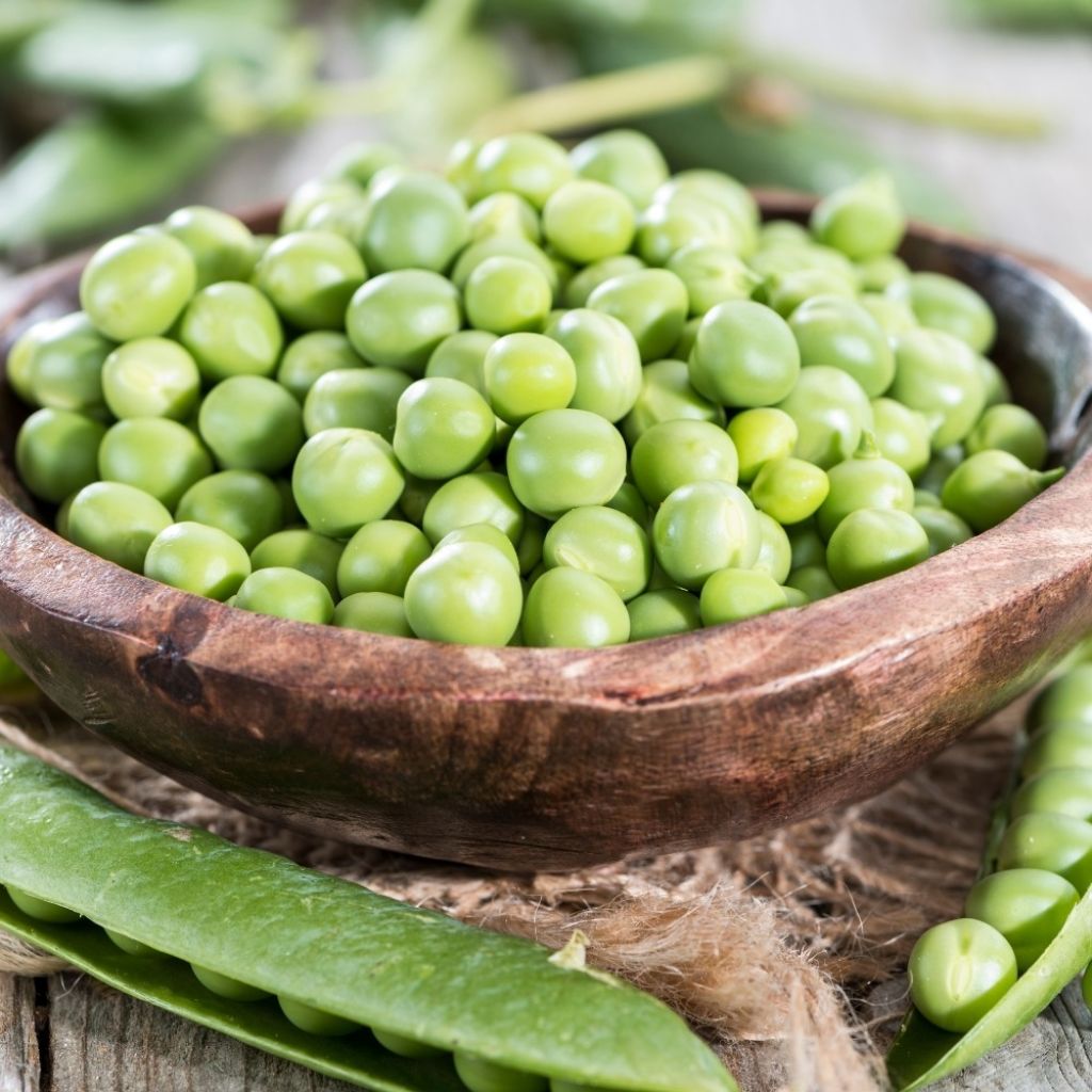 Doperwt Kleine Provençaalse