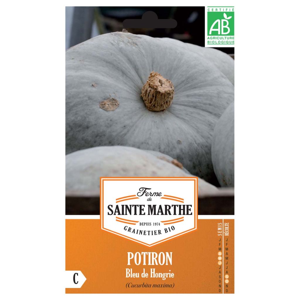 Pompoen Bleu de Hongrie BIO - Ferme de Sainte Marthe